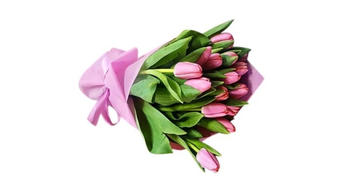 Bouquet of 31 tulips